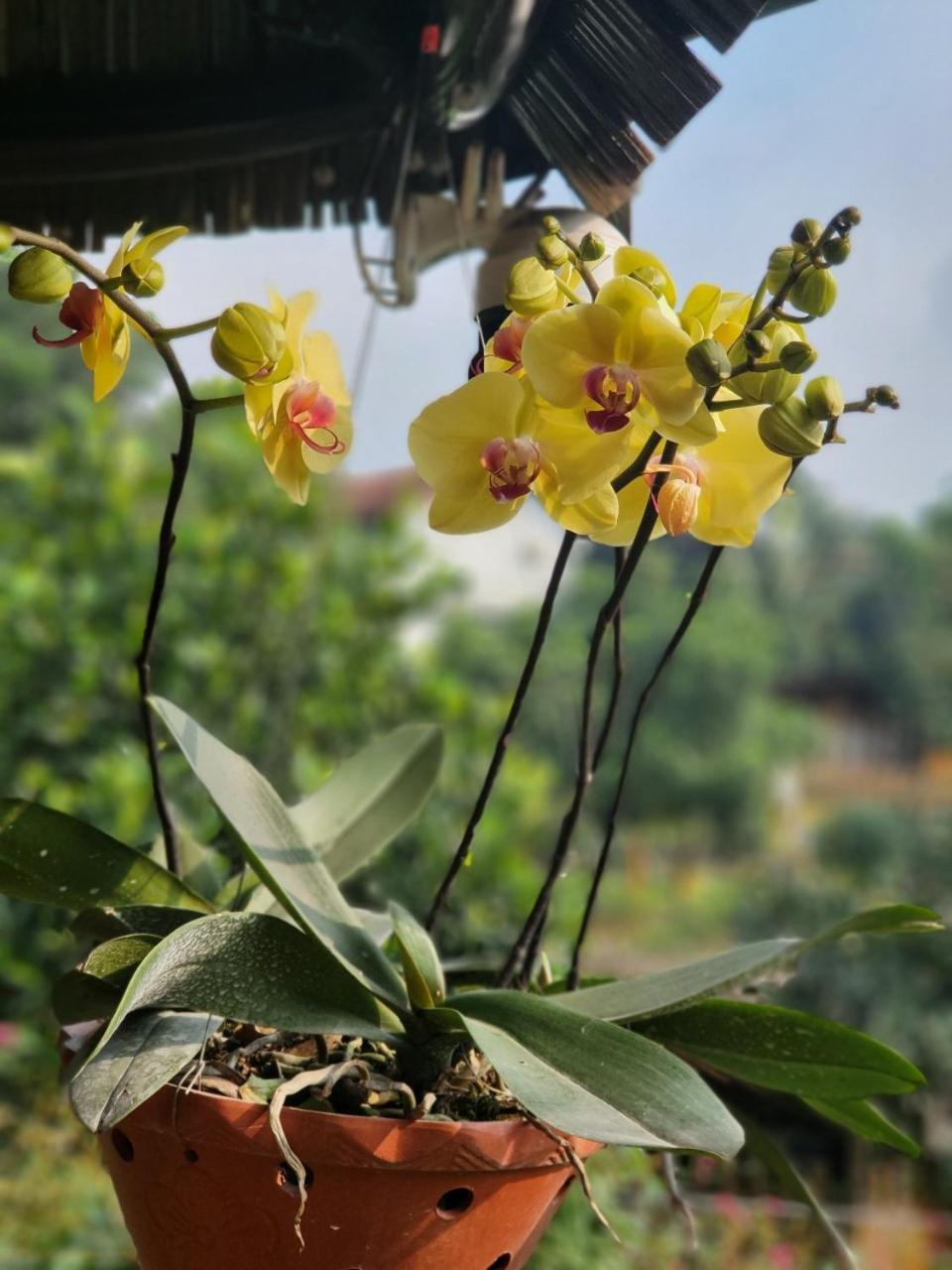 Byve Garden Villa Hanoi Exterior photo